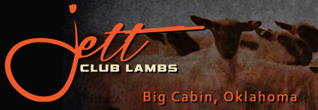 Jett Club Lambs
