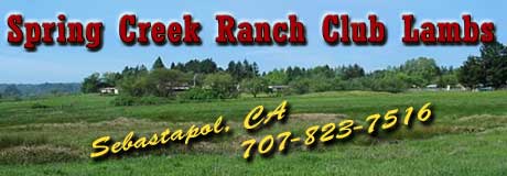 Spring Creek Ranch