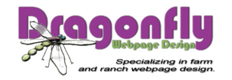 Dragonfly Webpage Design